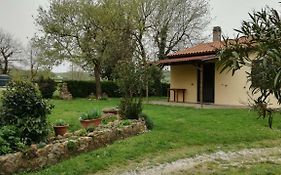 Agriturismo cavallin del papa