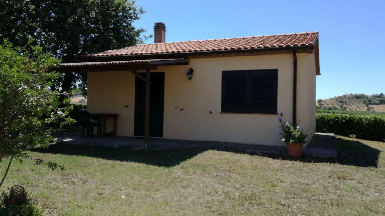 Agriturismo cavallin del papa Capalbio Esterno foto