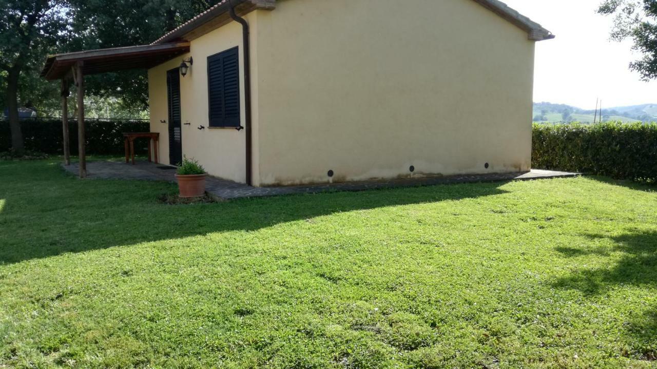 Agriturismo cavallin del papa Capalbio Esterno foto