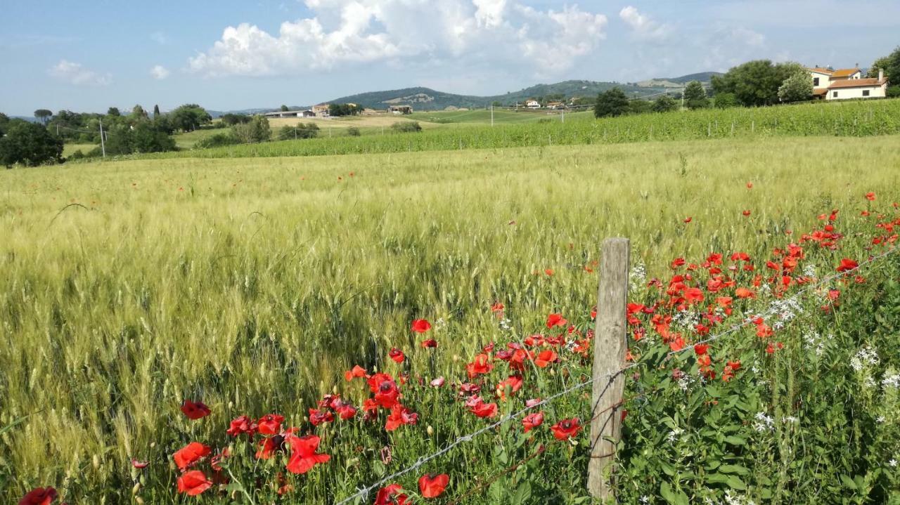 Agriturismo cavallin del papa Capalbio Esterno foto